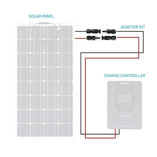 Renogy 300W Solar Panel rental per day