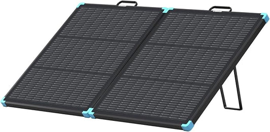Renogy 100W Solar Panel rental per day